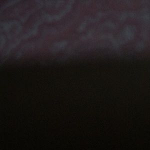 Meet your Posher, Allan